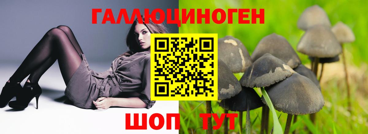Псилоцибиновые грибы Magic Shrooms  Псилоцибиновые грибы ЛСД  продажа наркотиков  Ростов-на-Дону  Вход с VPN 
